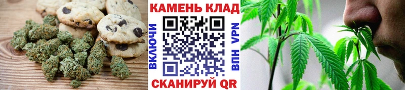 Купить закладки  Южноуральск  Canna-Cookies марихуана 