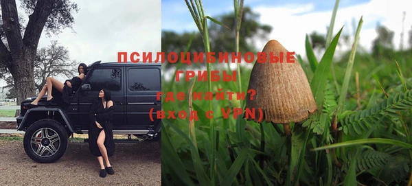 ALPHA PVP Новодвинск